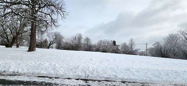 0.1 Acres of Residential Land for Sale in Detroit, Michigan