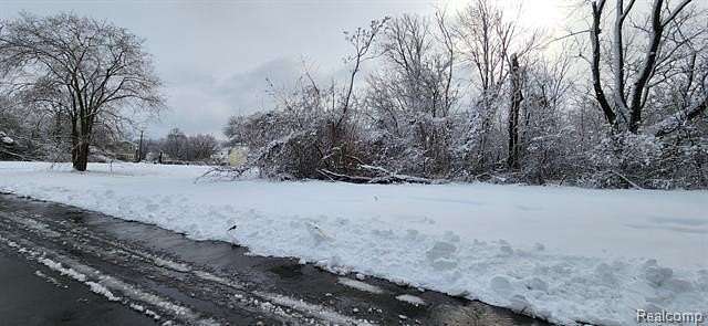 0.1 Acres of Residential Land for Sale in Detroit, Michigan