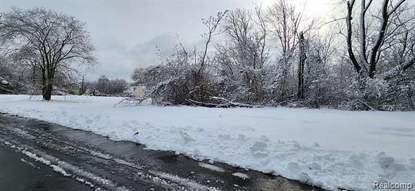 0.1 Acres of Residential Land for Sale in Detroit, Michigan