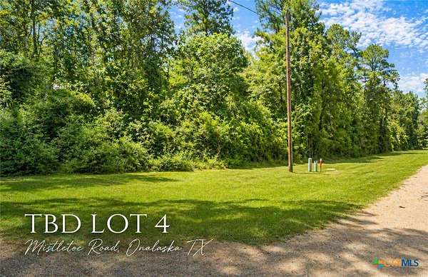 0.26 Acres of Residential Land for Sale in Onalaska, Texas