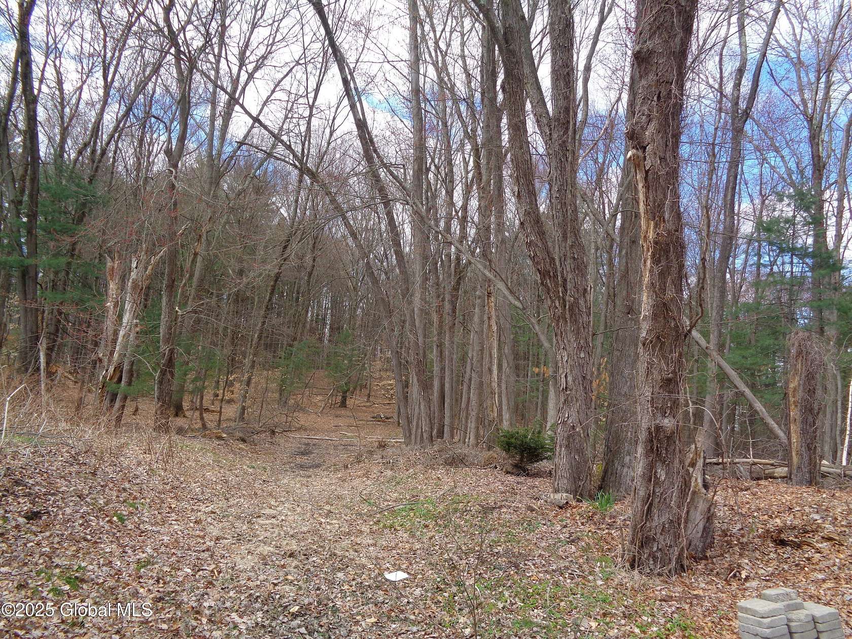 1.14 Acres of Land for Sale in Schenectady, New York