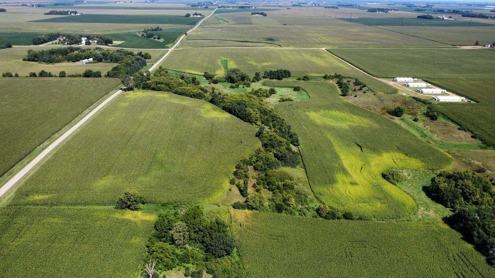 80 Acres of Land for Sale in Winnebago, Minnesota