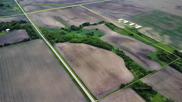 80 Acres of Land for Sale in Winnebago, Minnesota