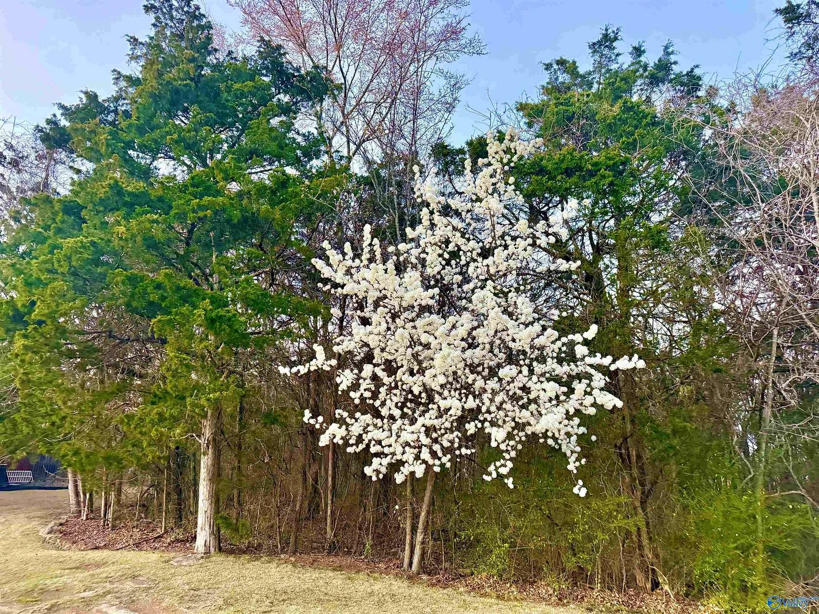 0.65 Acres of Residential Land for Sale in Decatur, Alabama