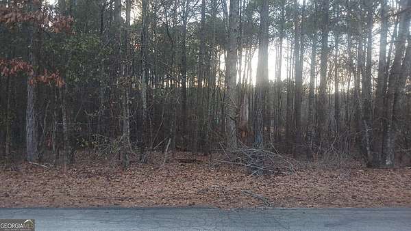 0.5 Acres of Residential Land for Sale in Covington, Georgia