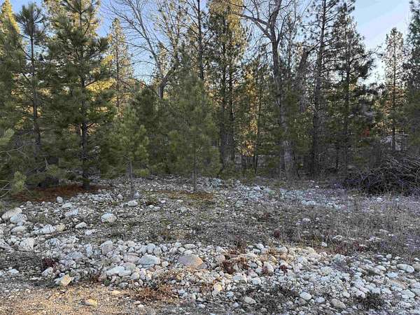 0.2 Acres of Land for Sale in Idaho City, Idaho