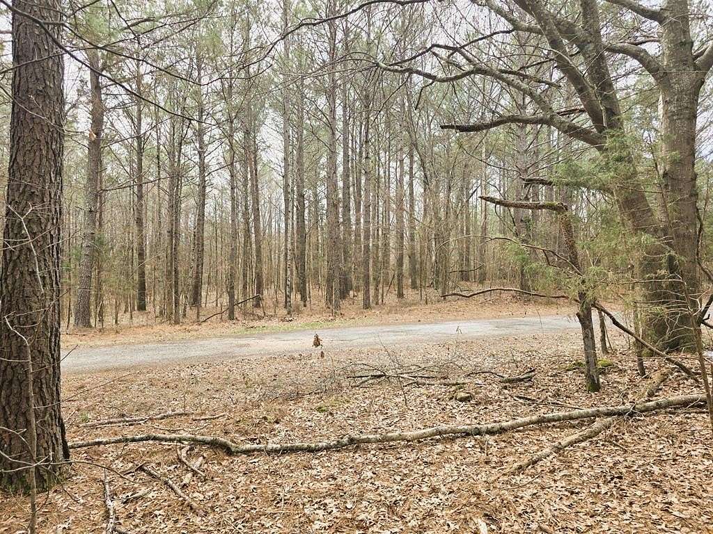 0.57 Acres of Residential Land for Sale in Big Sandy, Tennessee