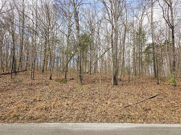 0.54 Acres of Residential Land for Sale in Big Sandy, Tennessee
