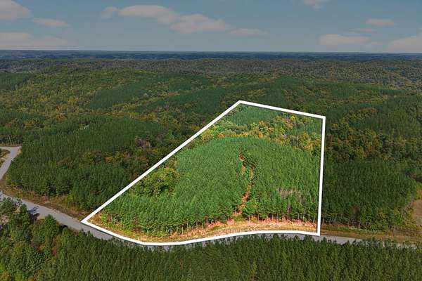 10 Acres of Recreational & Residential Land for Sale in Linden, Tennessee