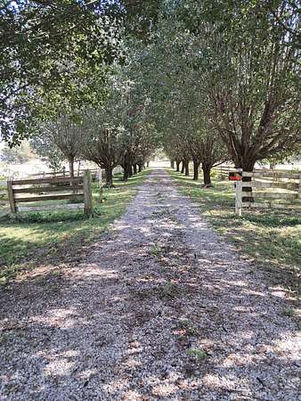 17 Acres of Land for Sale in Lewisburg, Tennessee