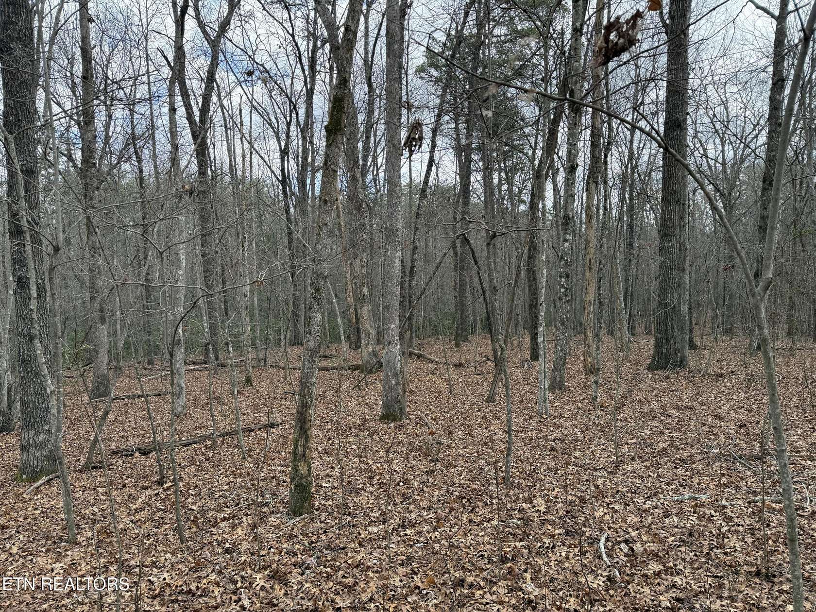 4.2 Acres of Residential Land for Sale in Monterey, Tennessee