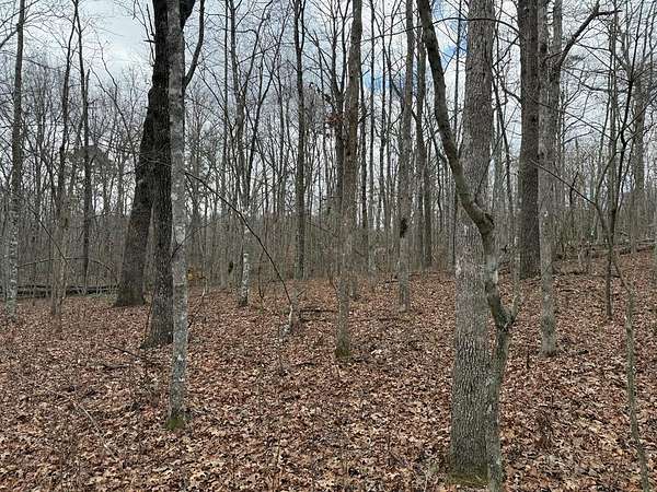4.2 Acres of Residential Land for Sale in Monterey, Tennessee