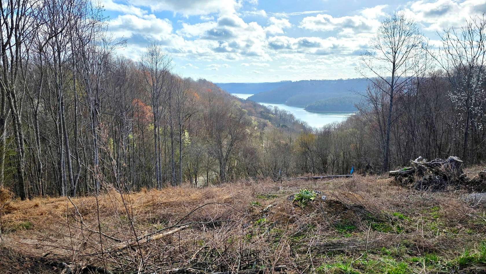 0.95 Acres of Residential Land for Sale in Smithville, Tennessee