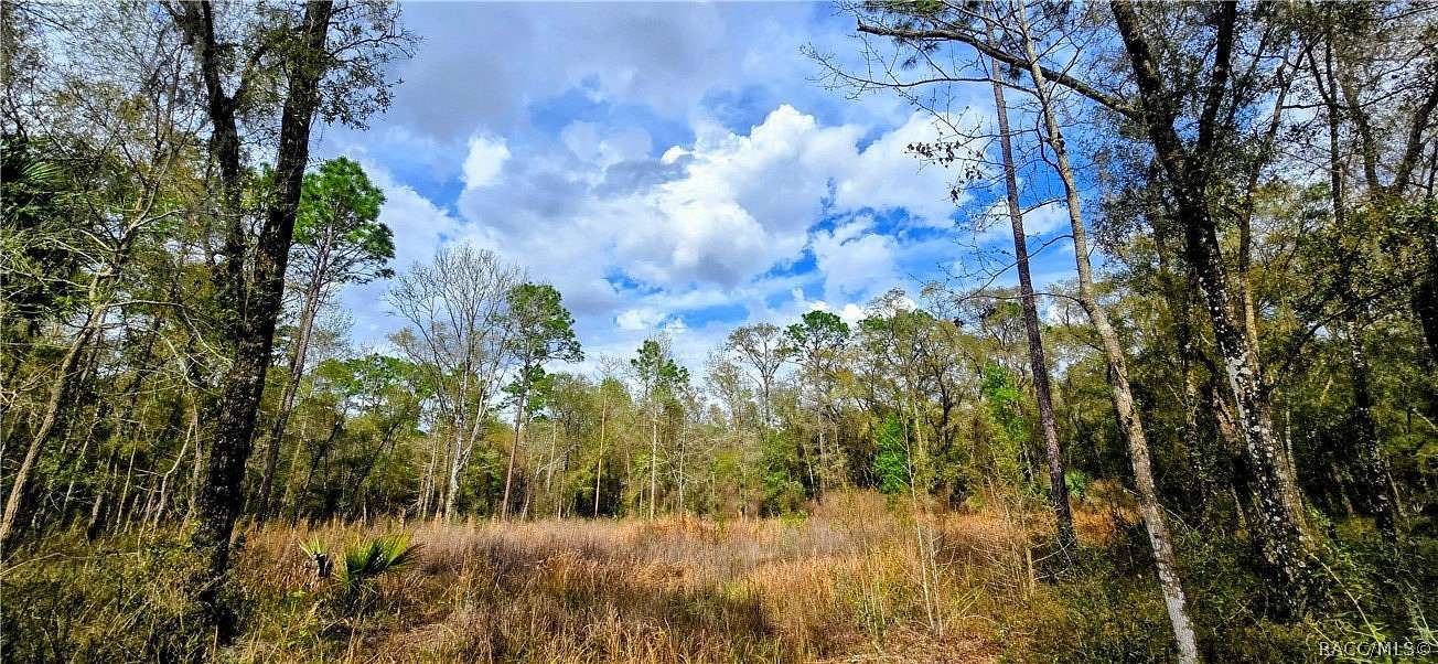 4.13 Acres of Land for Sale in Inverness, Florida