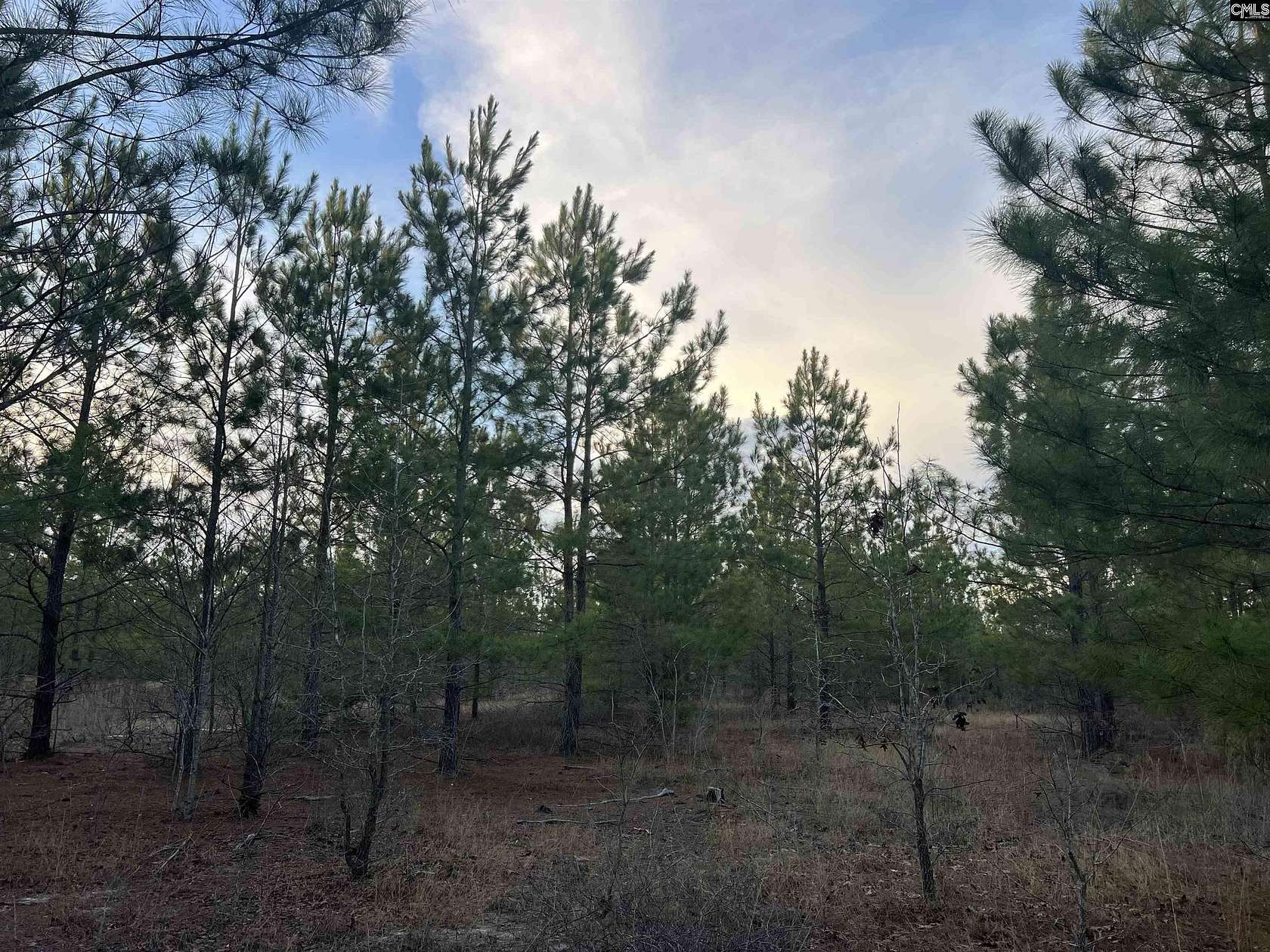 10 Acres of Recreational & Residential Land for Sale in Gilbert, South Carolina