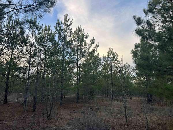 10 Acres of Recreational & Residential Land for Sale in Gilbert, South Carolina