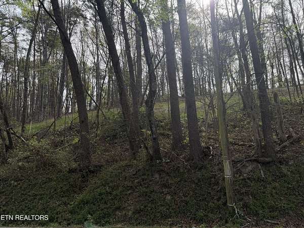 1.2 Acres of Residential Land for Sale in Soddy-Daisy, Tennessee