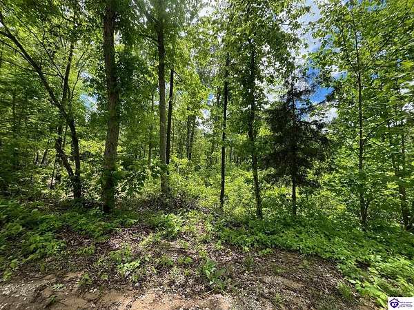 46 Acres of Recreational Land for Sale in Bonnieville, Kentucky