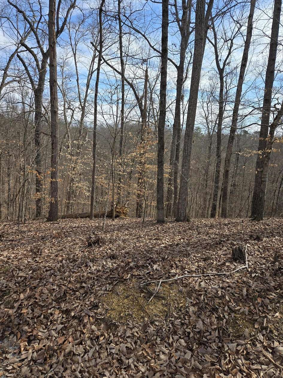 0.32 Acres of Land for Sale in Baneberry, Tennessee