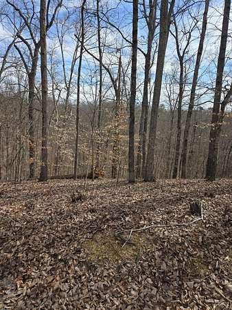0.32 Acres of Land for Sale in Baneberry, Tennessee