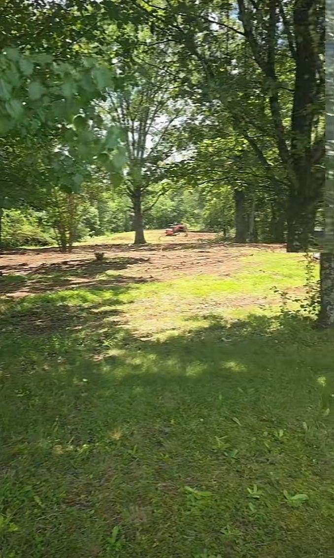 28.5 Acres of Recreational & Residential Land for Sale in Waterloo, Alabama