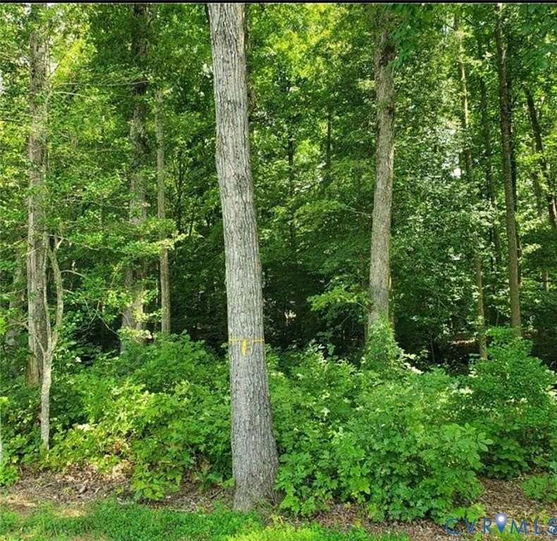 73.3 Acres of Recreational Land for Sale in Jetersville, Virginia
