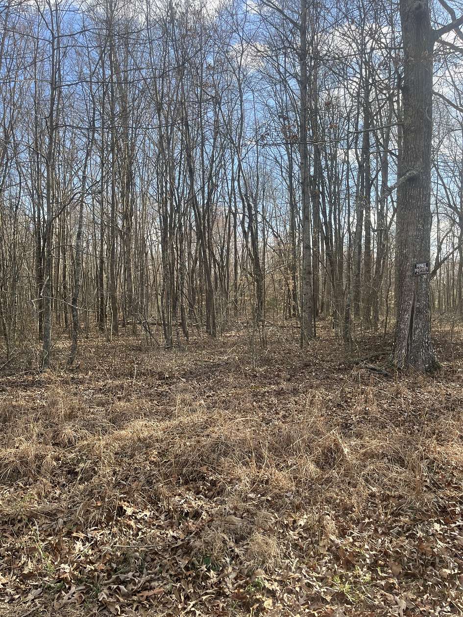 2 Acres of Residential Land for Sale in Manchester, Tennessee