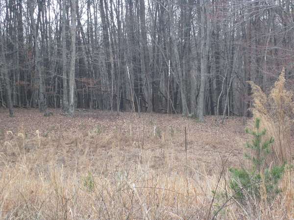 1 Acre of Residential Land for Sale in Union Hall, Virginia