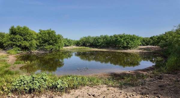 809 Acres of Agricultural Land with Home for Sale in Santa Anna, Texas