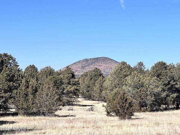 2.5 Acres of Land for Sale in Williams, Arizona