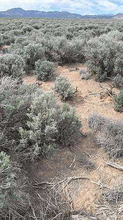 1.25 Acres of Residential Land for Sale in Beryl, Utah