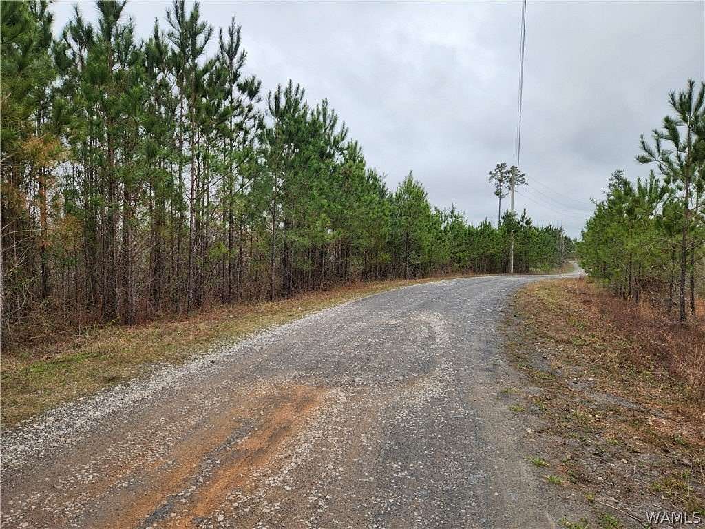 15.2 Acres of Land for Sale in Brookwood, Alabama