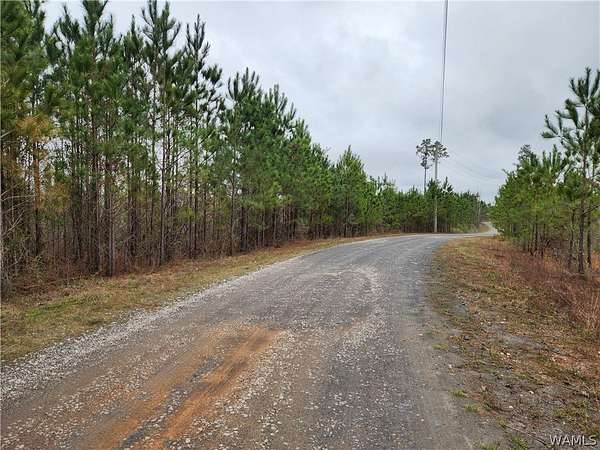 15.2 Acres of Land for Sale in Brookwood, Alabama