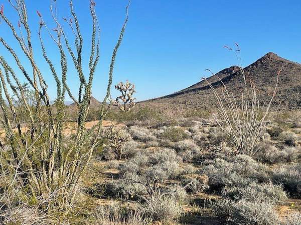 2 Acres of Land for Sale in Yucca, Arizona