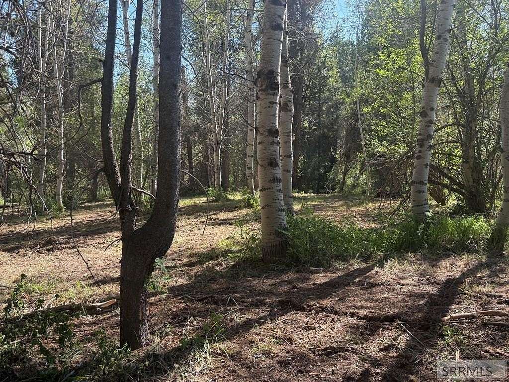 5.5 Acres of Land for Sale in Ashton, Idaho