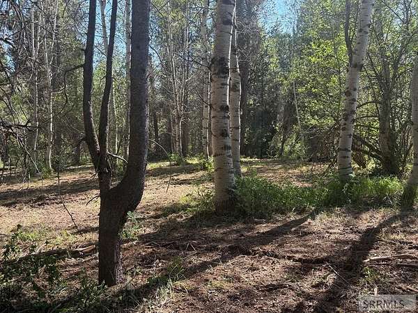5.5 Acres of Land for Sale in Ashton, Idaho