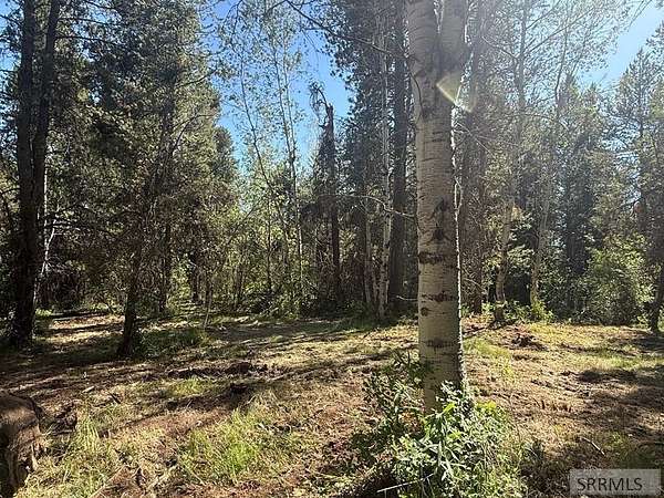 5.5 Acres of Land for Sale in Ashton, Idaho