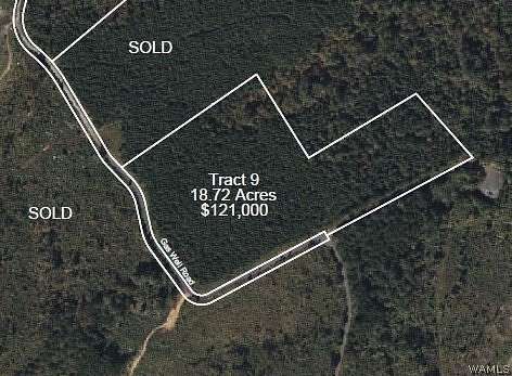 18.7 Acres of Land for Sale in Brookwood, Alabama
