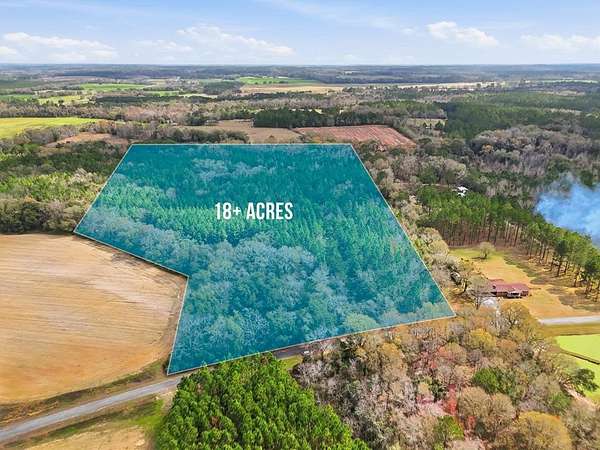 18.2 Acres of Recreational & Residential Land for Sale in Pelham, Georgia