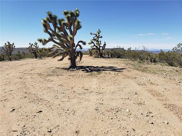 2.5 Acres of Residential Land for Sale in White Hills, Arizona
