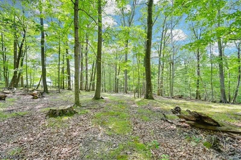 16.7 Acres of Recreational & Residential Land for Sale in Fredon Township, New Jersey