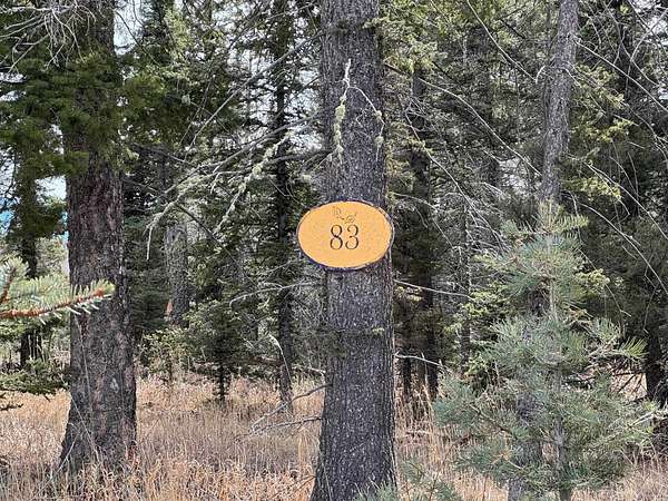 2.84 Acres of Residential Land for Sale in Angel Fire, New Mexico