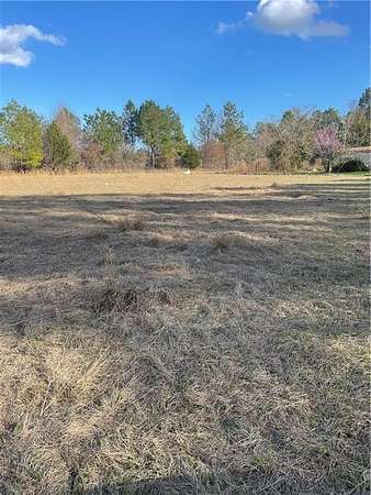 10 Acres of Residential Land for Sale in Jesup, Georgia