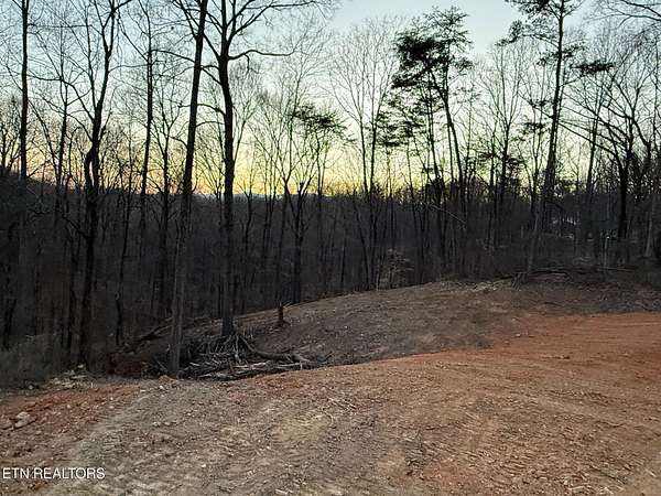 1.16 Acres of Residential Land for Sale in Rocky Top, Tennessee