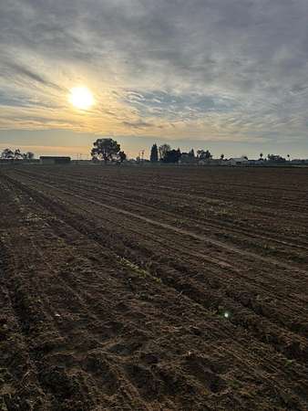 9.76 Acres of Land for Sale in Selma, California