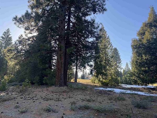 0.3 Acres of Residential Land for Sale in Lake Almanor Peninsula, California