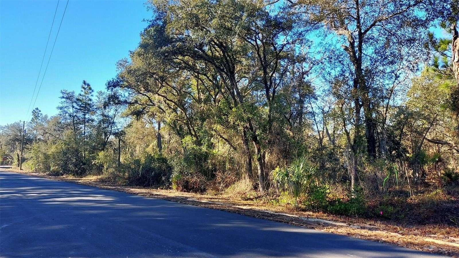 0.98 Acres of Residential Land for Sale in Dunnellon, Florida