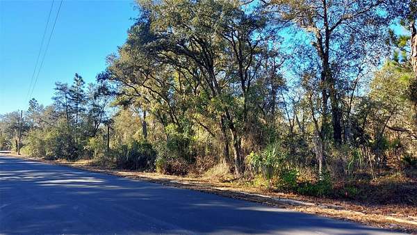 0.98 Acres of Residential Land for Sale in Dunnellon, Florida