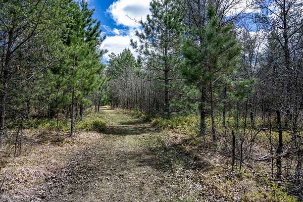 60.3 Acres of Recreational & Residential Land for Sale in Necedah, Wisconsin