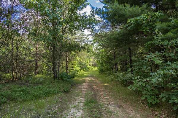 60.3 Acres of Recreational & Residential Land for Sale in Necedah, Wisconsin